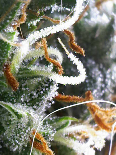 Photo_2026-02-27 15_14_19_773