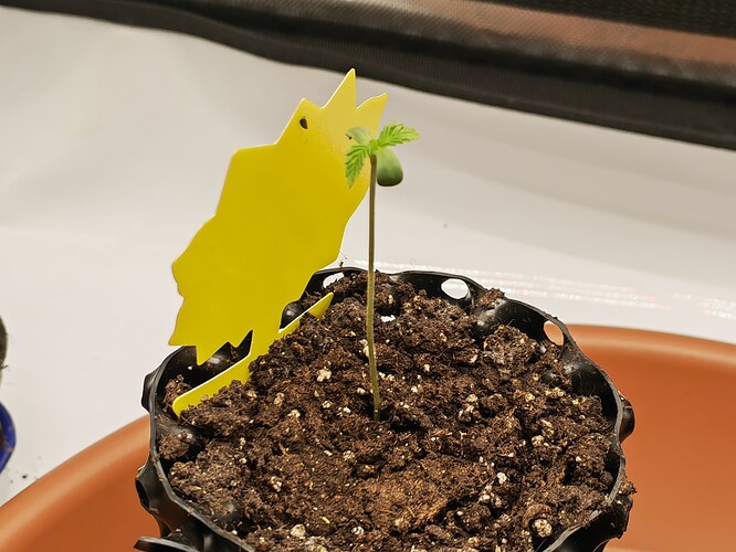 Growreport Bild 10
