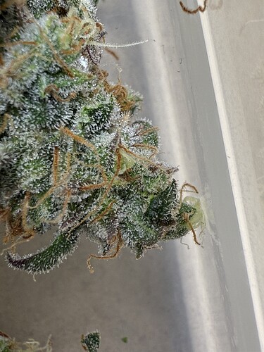 Growreport Bild 14