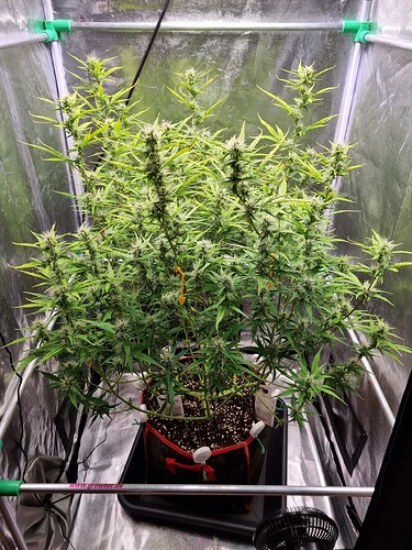 Growreport Bild 10