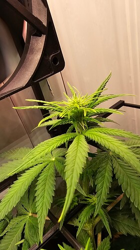 Growreport Bild 9