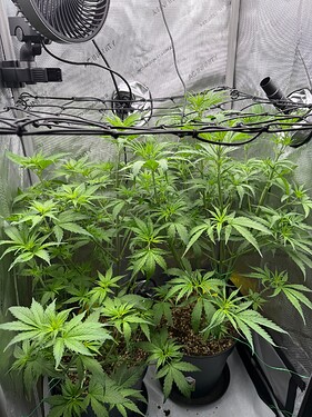Growreport Bild 17