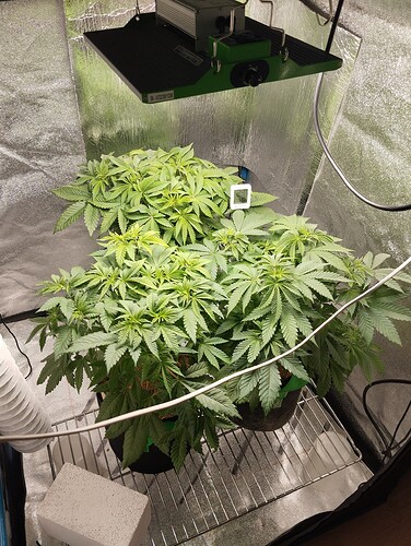 Growreport Bild 13
