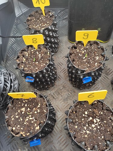 Growreport Bild 10
