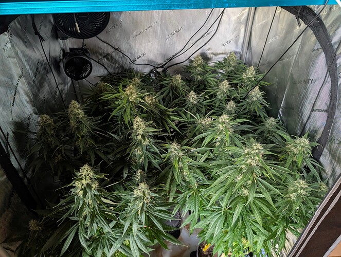 Growreport Bild 1