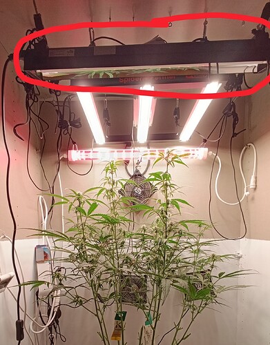 Growreport Bild 1