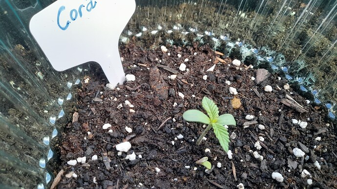 Growreport Bild 11