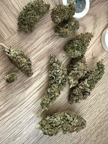 Growreport Bild 26
