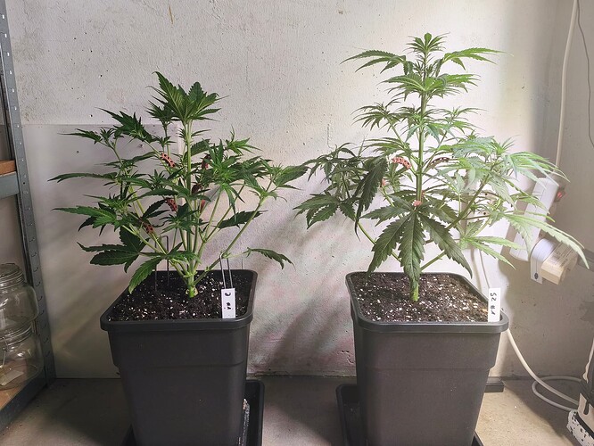 Growreport Bild 4