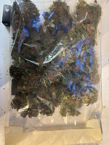 Growreport Bild 67