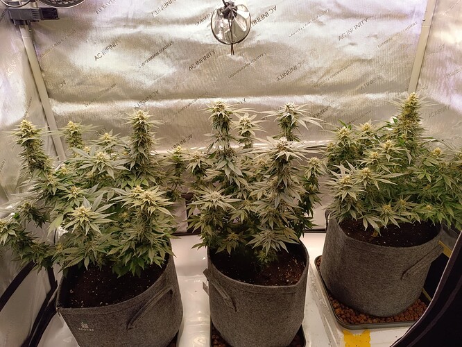 Growreport Bild 9