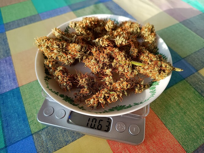 Growreport Bild 19