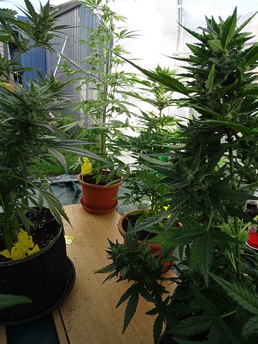 Growreport Bild 28