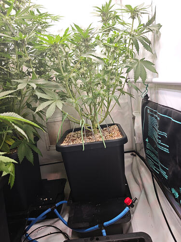Growreport Bild 21