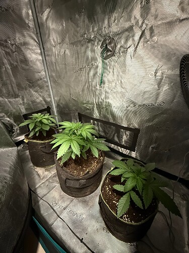 Growreport Bild 9