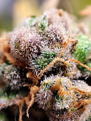 Growreport Bild 90