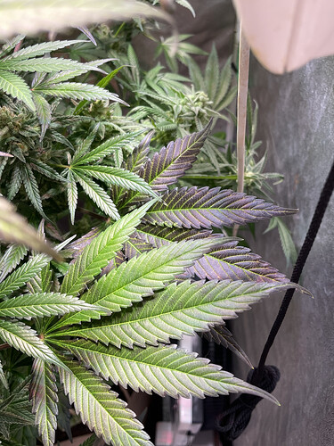 Growreport Bild 6