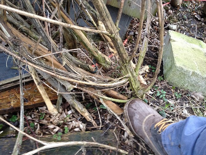 Growreport Bild 8