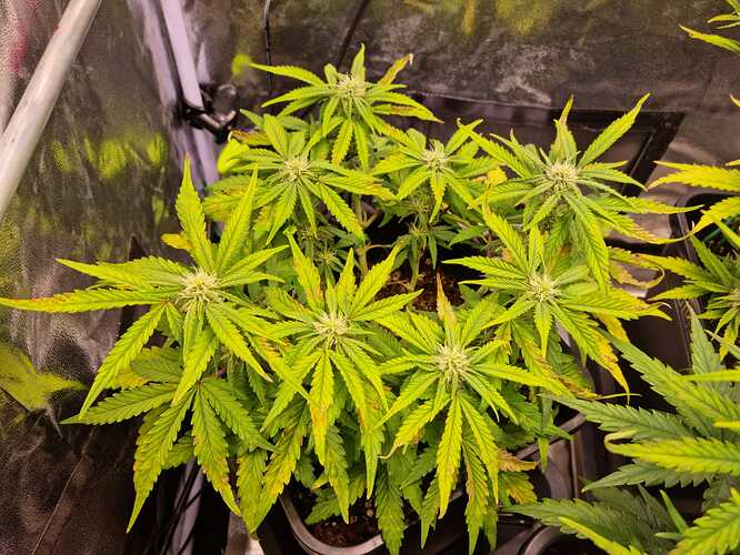 WhatsApp Bild 2024-06-23 um 18.58.33_3b7f87fc