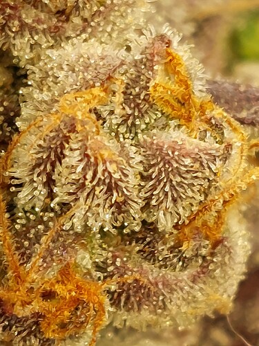Growreport Bild 23