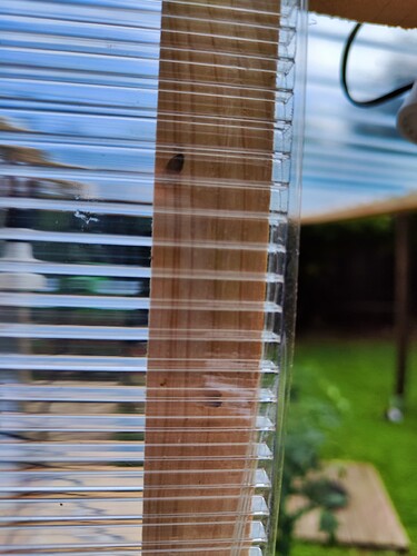 Growreport Bild 37