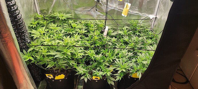 Growreport Bild 2