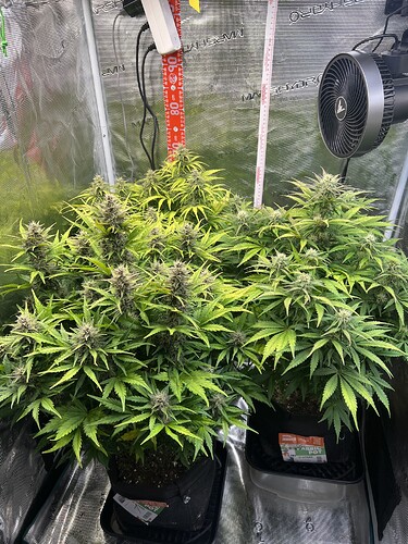 Growreport Bild 9