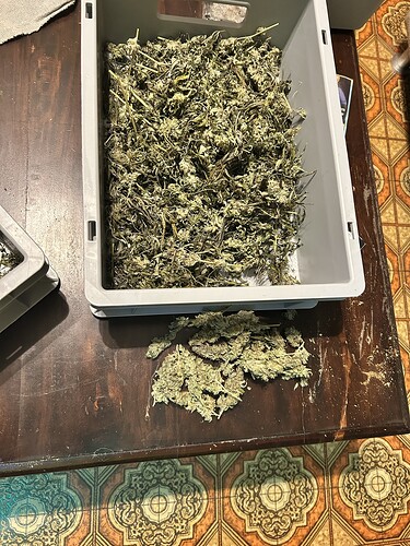 Eine graue Kunststoffbox gefüllt mit getrockneten Cannabis-Buds und Zweigen, die auf einem Holztisch steht, mit weiteren Buds davor.