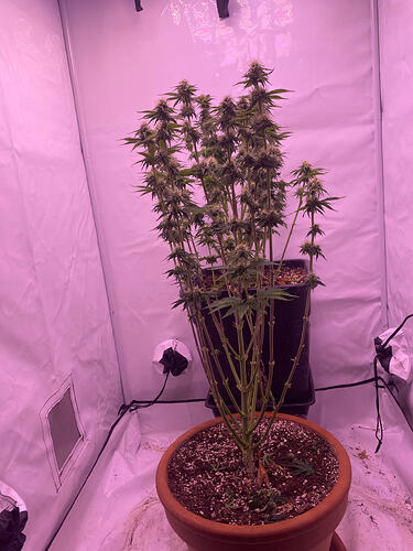 Growreport Bild 11
