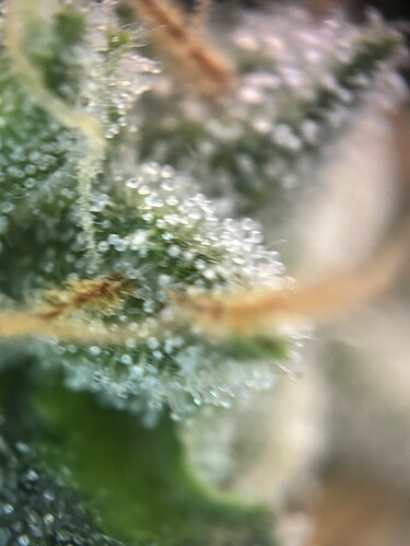 Growreport Bild 24