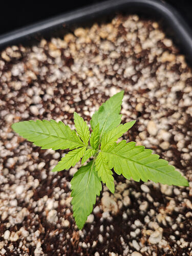 Growreport Bild 10