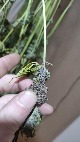 Growreport Bild 19