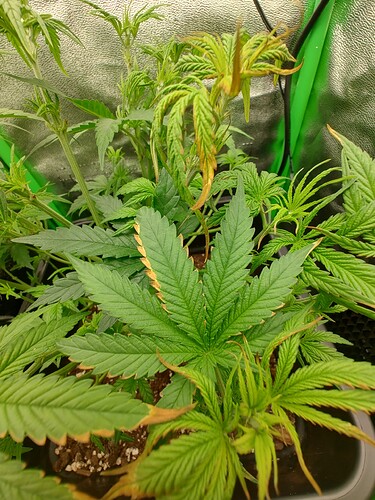IMG_20240427_114834840_HDR