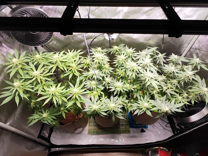 Growreport Bild 14