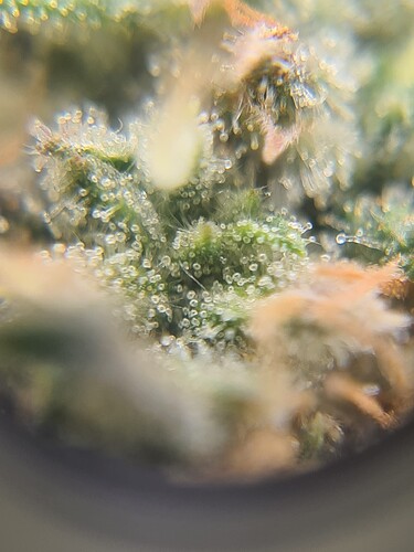 Growreport Bild 17