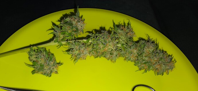 Growreport Bild 10