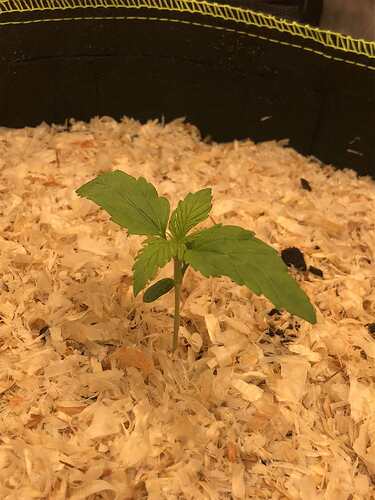 Growreport Bild 4