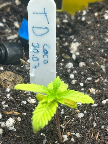 Growreport Bild 42