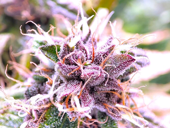Growreport Bild 14