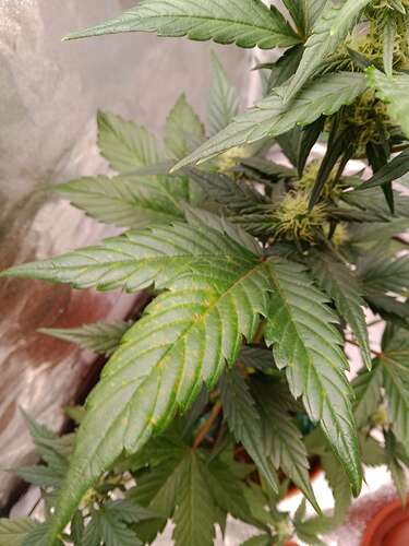 Compress_20240602_190803_3325