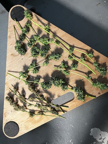 Growreport Bild 9