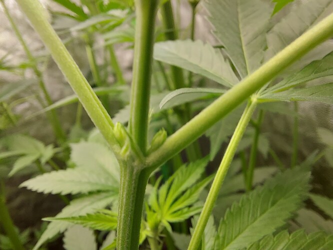Growreport Bild 24