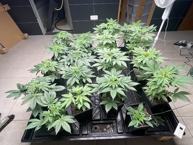 Growreport Bild 3