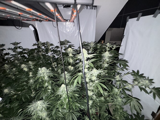 Growreport Bild 6