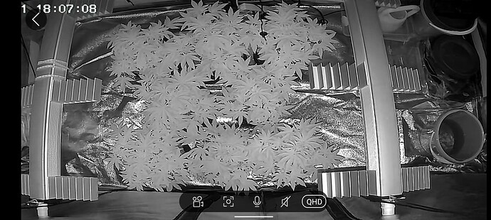 Growreport Bild 2