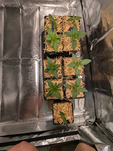 PXL_20240710_135434346