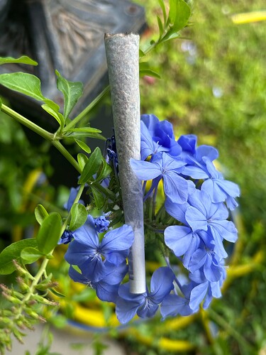 Growreport Bild 65