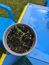 PXL_20250425_150036530