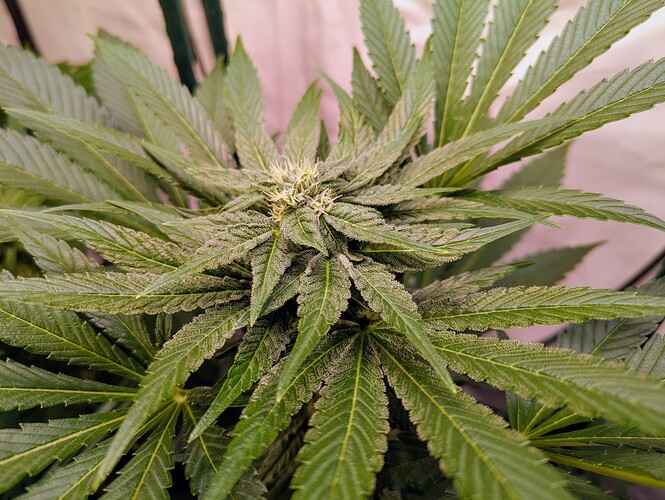 Growreport Bild 10