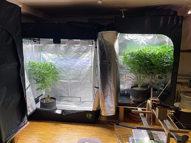 Growreport Bild 22